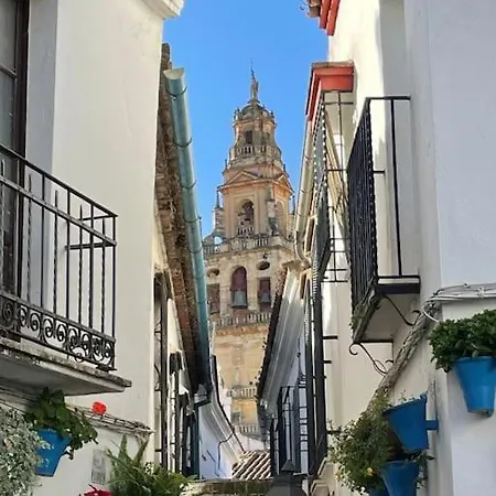 El Rincon De La Verdad