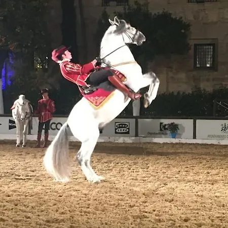 El Rincon De La Verdad Cordoba