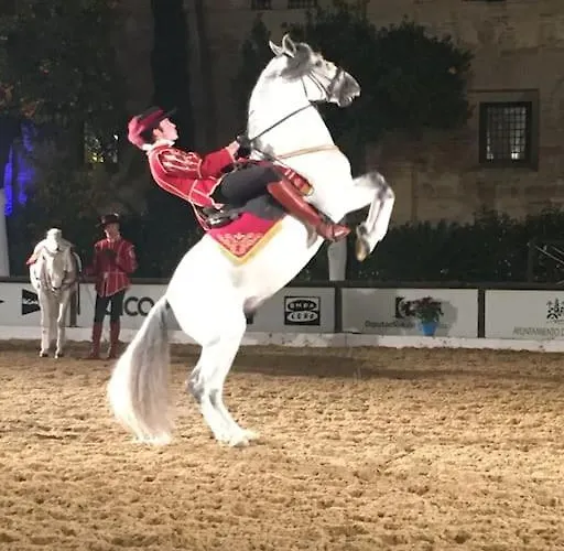 Geysotur El Rincon De La Verdad Córdoba